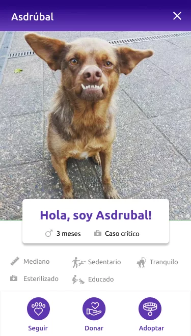 caso-huellitapp-perfil-asdrubal Interfaz de tarjeta de un caso publicado