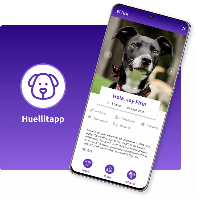 home-caso-huellitapp