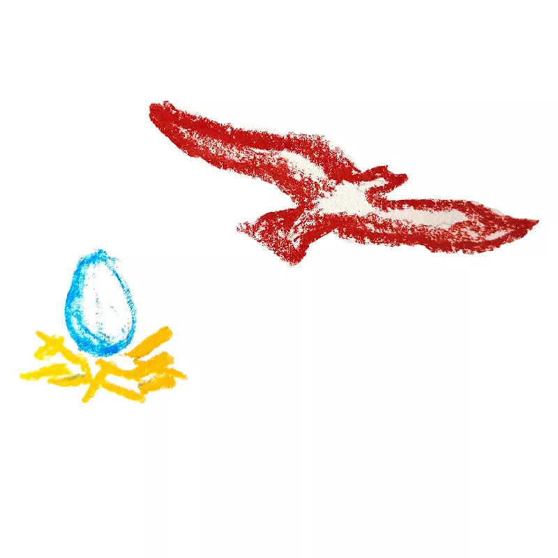 ilustracion-endtoend